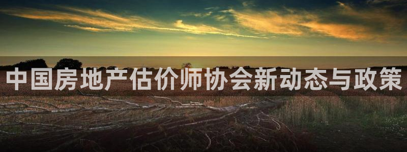 新宝5首页：中国房地产估价师协会新动态与政策