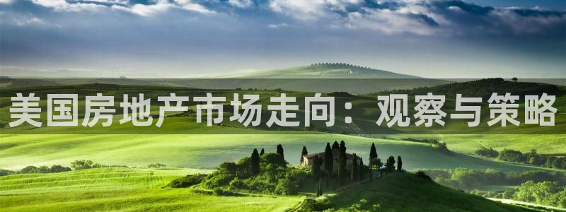 新宝5账号注册：美国房地产市场走向：观察与策略