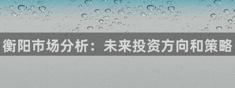 新宝5骗术：衡阳市场分析：未来投资方向和策略