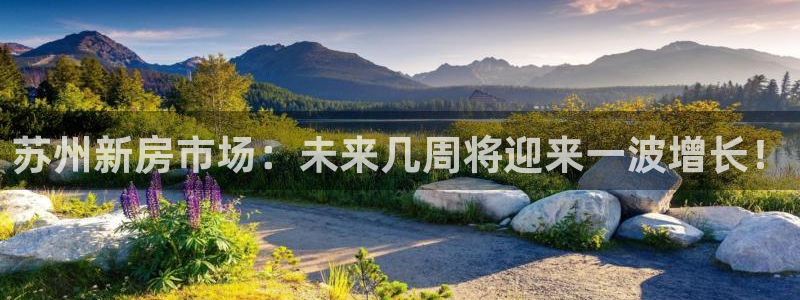新宝5彩票娱乐平台：苏州新房市场：未来几周将迎来一波增长！