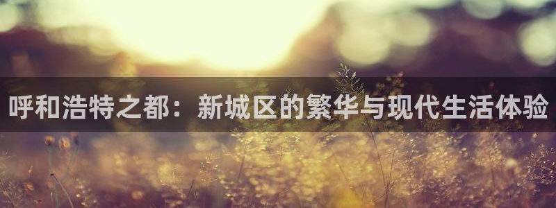 新宝5彩票平台登陆：呼和浩特之都：新城区的繁华与现代生活体验