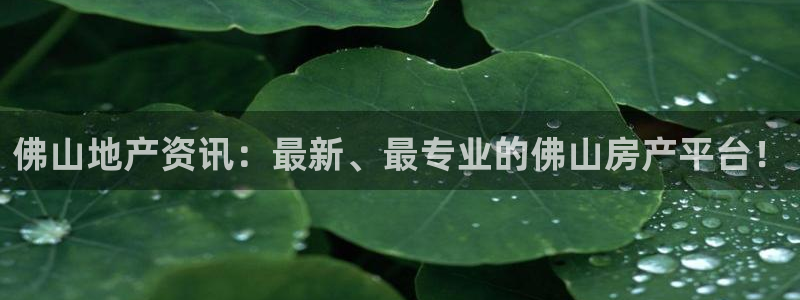 新宝5巅峰：佛山地产资讯：最新、最专业的佛山房产平台！