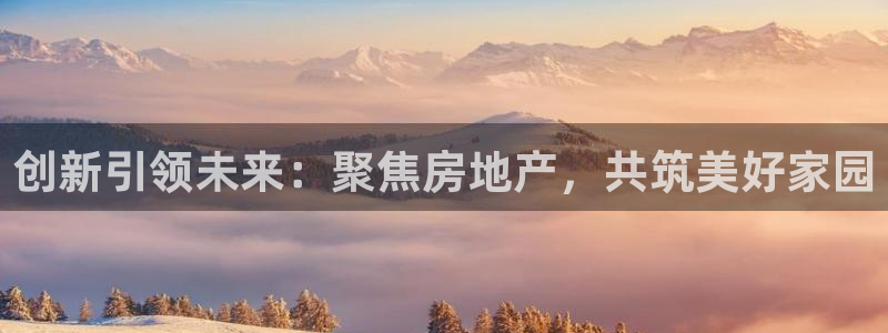 5新宝：创新引领未来：聚焦房地产，共筑美好家园