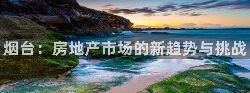 新宝5app：烟台：房地产市场的新趋势与挑战