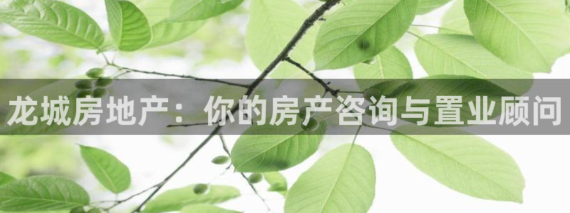 新宝5王问74OOO5：龙城房地产：你的房产咨询与置业顾问