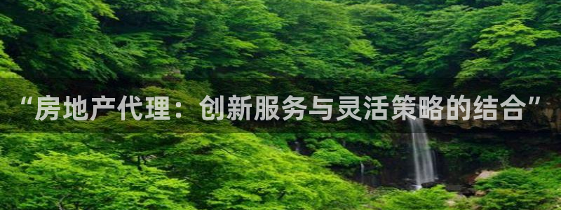 新宝5官网平台：“房地产代理：创新服务与灵活策略的结合”