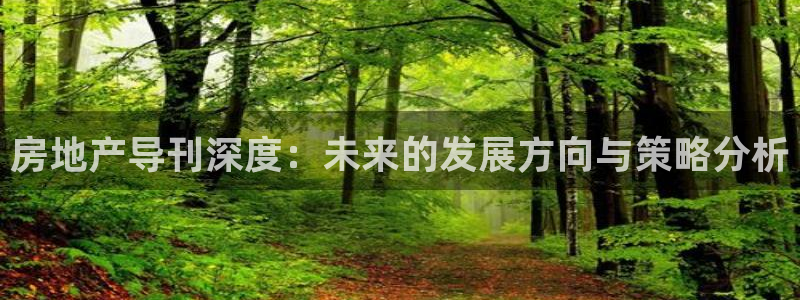 新宝5链接：房地产导刊深度：未来的发展方向与策略分析