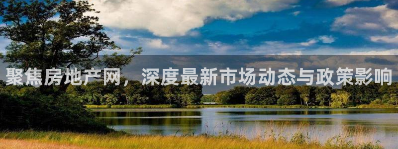 新宝5客户端登录：聚焦房地产网，深度最新市场动态与政策影响