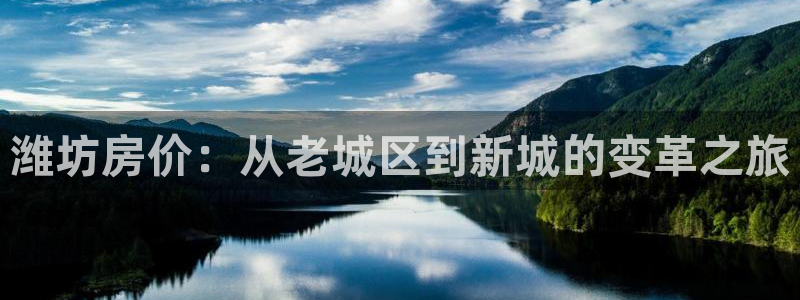 新宝rm5：潍坊房价：从老城区到新城的变革之旅