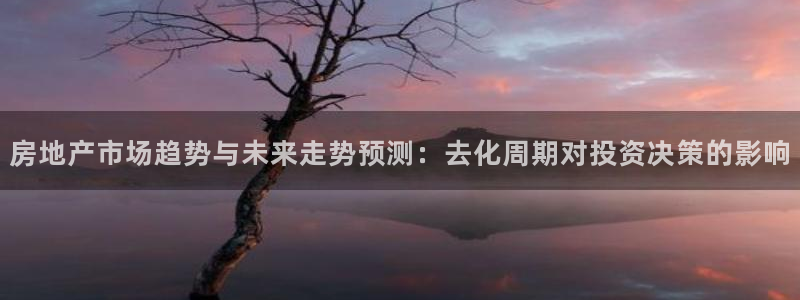 新宝rm5：房地产市场趋势与未来走势预测：去化周期对投资决策