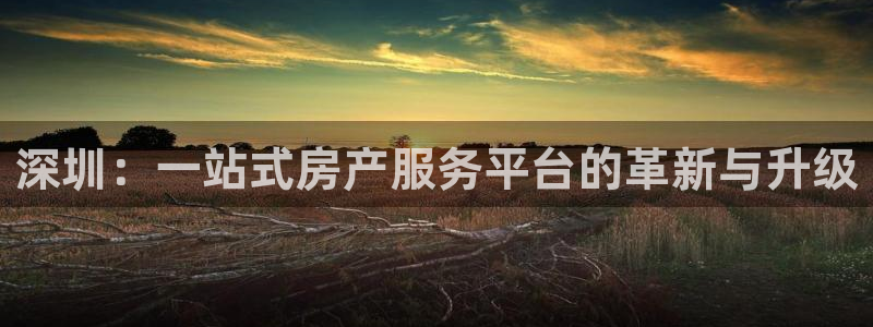 新宝注5册：深圳：一站式房产服务平台的革新与升级