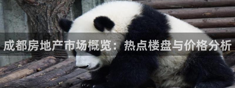 新宝5平台登录注册：成都房地产市场概览：热点楼盘与价格分析