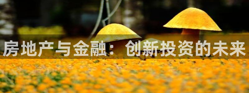 新宝5电脑：房地产与金融：创新投资的未来