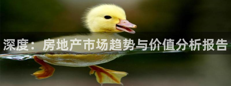 新宝5彩票是正规平台吗：深度：房地产市场趋势与价值分析报告