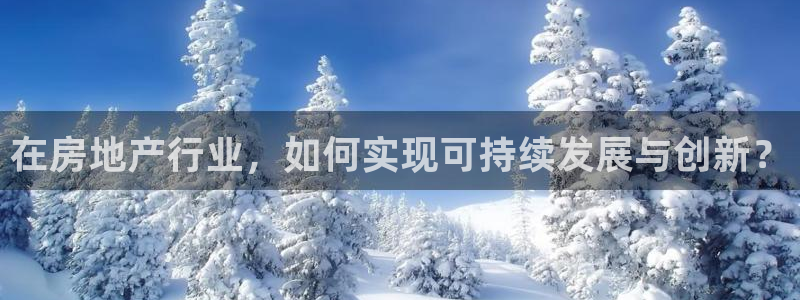 新宝5巅峰：在房地产行业，如何实现可持续发展与创新？