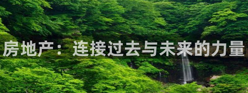新宝h2O5O5O：房地产：连接过去与未来的力量