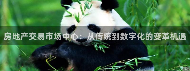新宝5注册账号：房地产交易市场中心：从传统到数字化的变革机遇