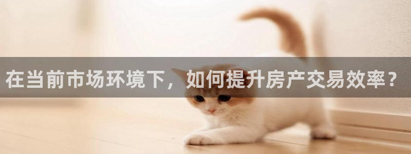 新宝5怎么下载到桌面：在当前市场环境下，如何提升房产交易效率