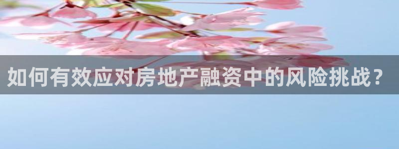 新宝5尤74OOO5：如何有效应对房地产融资中的风险挑战？