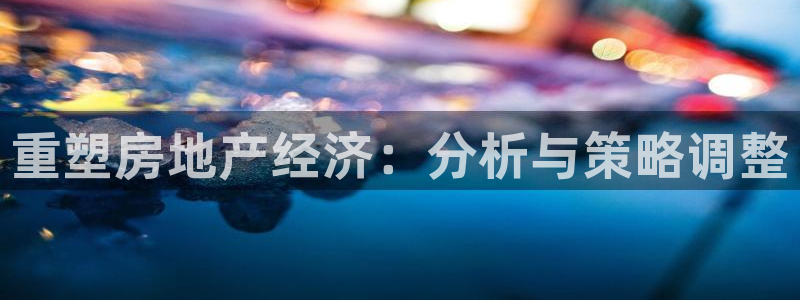 新5宝：重塑房地产经济：分析与策略调整