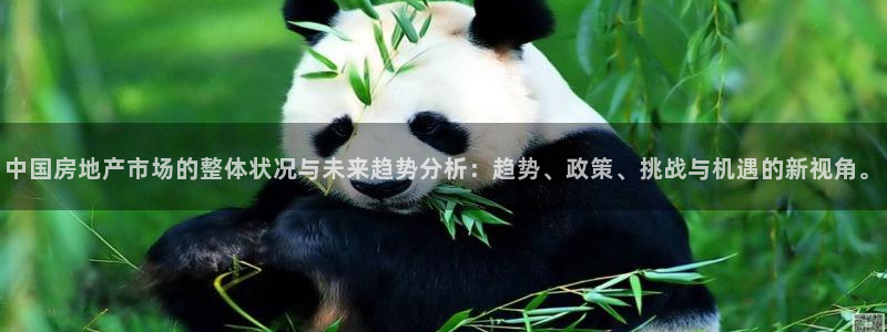 新宝5尤74OOO5：中国房地产市场的整体状况与未来趋势分析