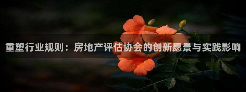 新宝5登录界面：重塑行业规则：房地产评估协会的创新愿景与实践