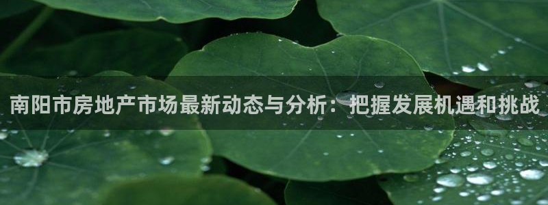 新宝5苹果手机下载：南阳市房地产市场最新动态与分析：把握发展