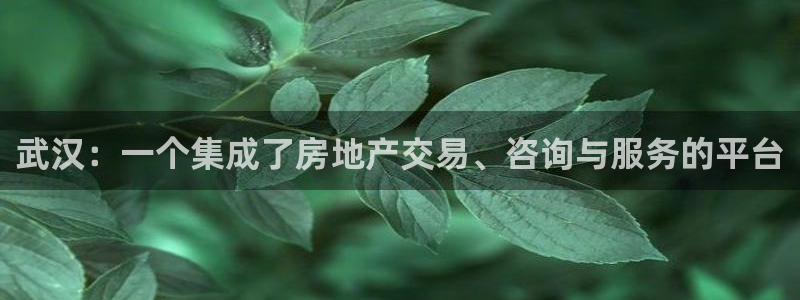 新宝股东王听2 5 5：武汉：一个集成了房地产交易、咨询与服