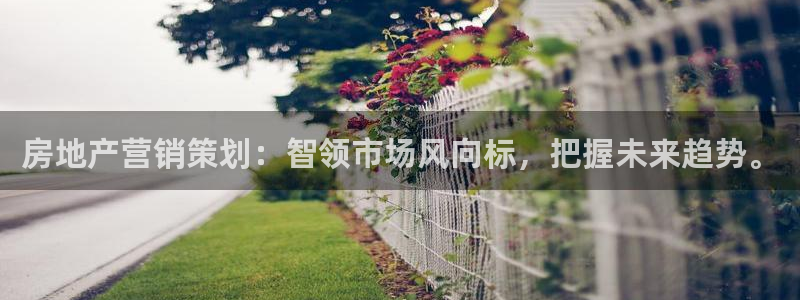 新宝股东瞧听2 5 5：房地产营销策划：智领市场风向标，把握