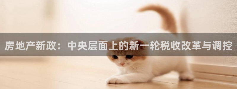 新宝5玩法：房地产新政：中央层面上的新一轮税收改革与调控