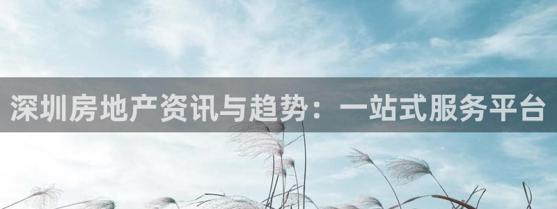 新宝5登录不了：深圳房地产资讯与趋势：一站式服务平台
