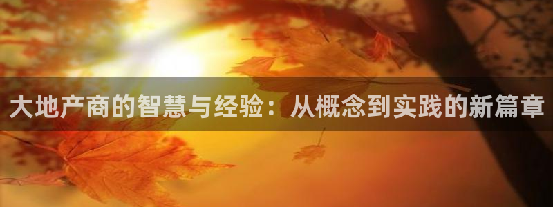 新宝b2O5O5O：大地产商的智慧与经验：从概念到实践的新篇