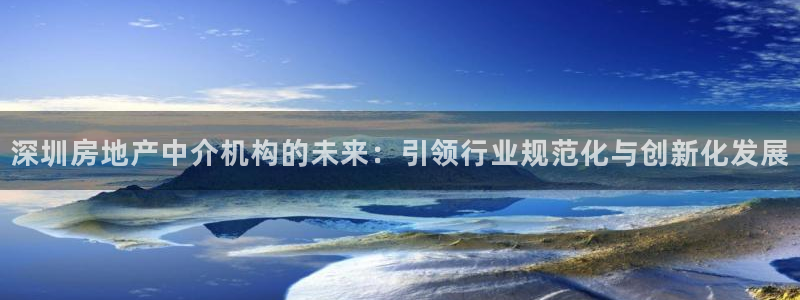 新宝5唯一：深圳房地产中介机构的未来：引领行业规范化与创新化