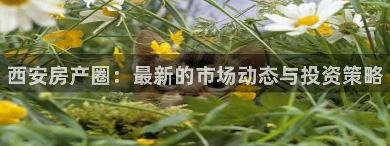 新宝5链接：西安房产圈：最新的市场动态与投资策略