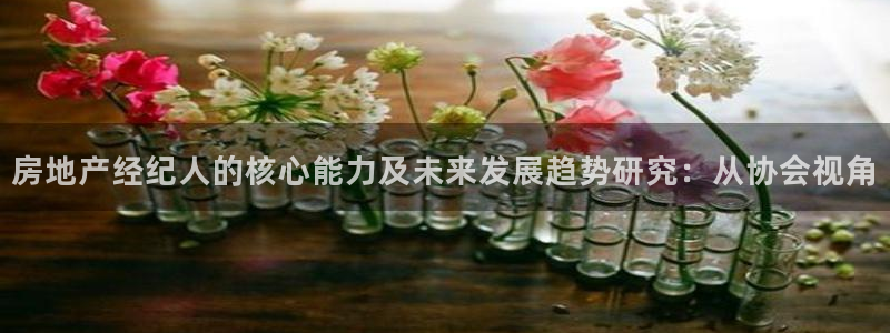 新宝5尤74OOO5：房地产经纪人的核心能力及未来发展趋势研