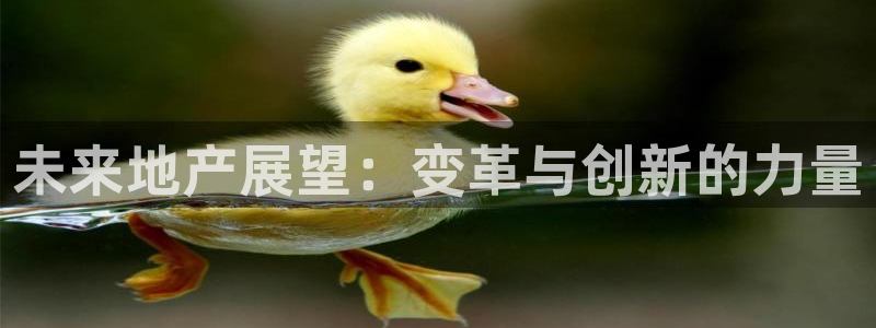 新宝5的网址：未来地产展望：变革与创新的力量