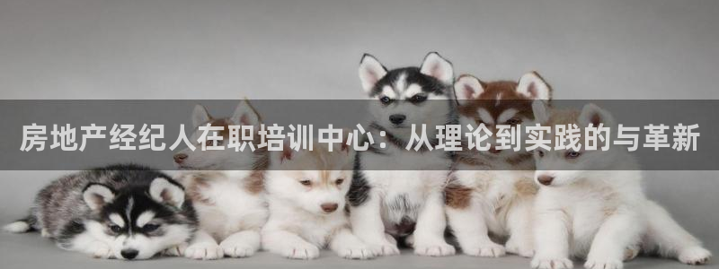 新宝5尤74OOO5：房地产经纪人在职培训中心：从理论到实践