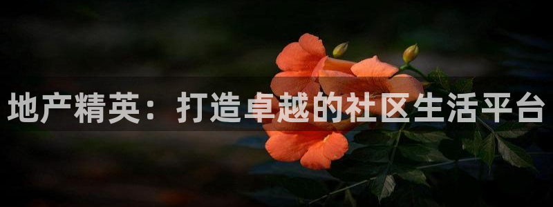 新宝5上70 667：地产精英：打造卓越的社区生活平台