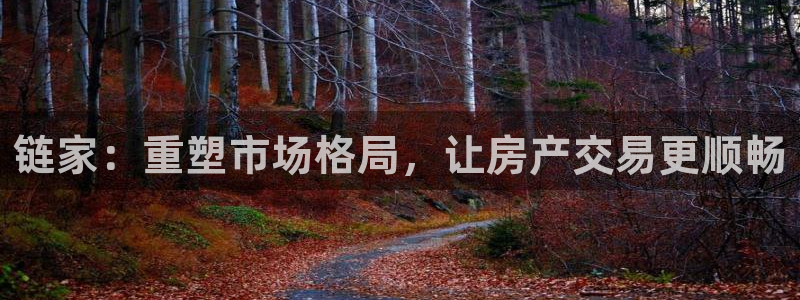 新宝5吕74OOO5：链家：重塑市场格局，让房产交易更顺畅