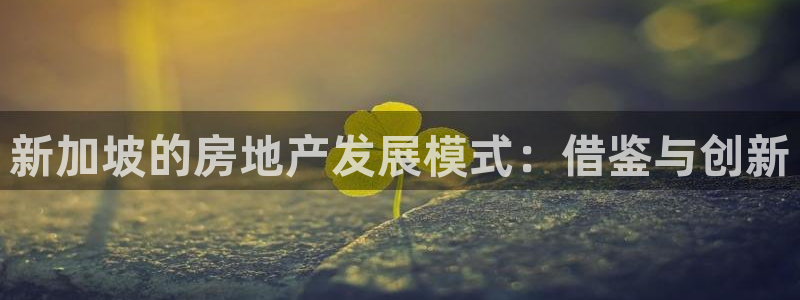 新宝5寻33 300球：新加坡的房地产发展模式：借鉴与创新