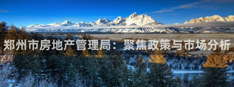 新宝5账号注册：郑州市房地产管理局：聚焦政策与市场分析