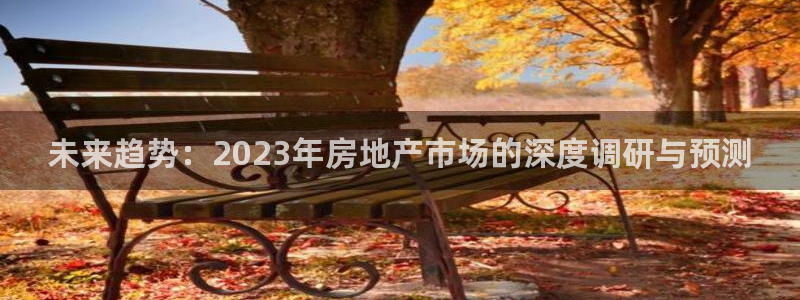 新宝5登陆地址：未来趋势：2023年房地产市场的深度调研与预