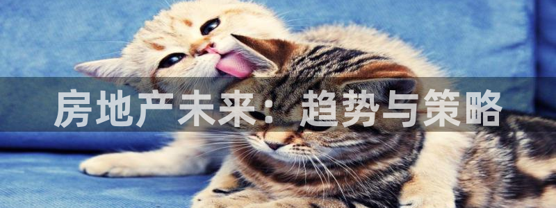 新宝5娱乐招商：房地产未来：趋势与策略