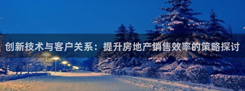 新宝5登录不了：创新技术与客户关系：提升房地产销售效率的策略