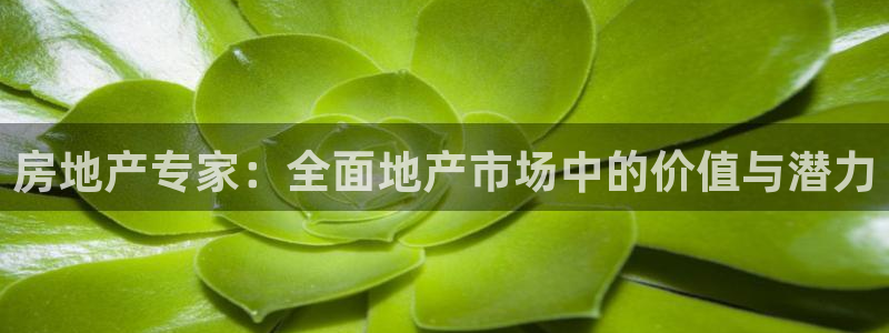 新宝5娱乐经：房地产专家：全面地产市场中的价值与潜力