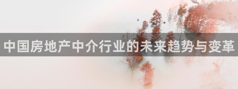 新宝5为啥开：中国房地产中介行业的未来趋势与变革