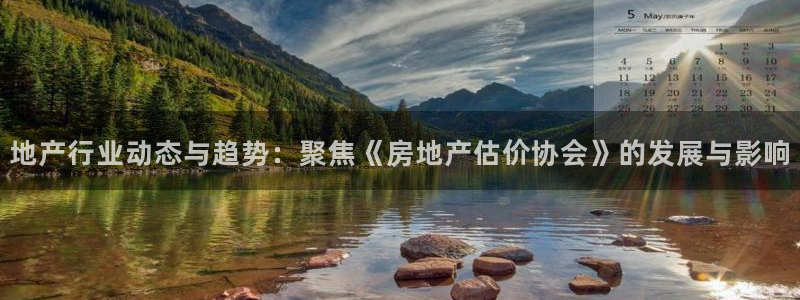 新宝5线路：地产行业动态与趋势：聚焦《房地产估价协会》的发展