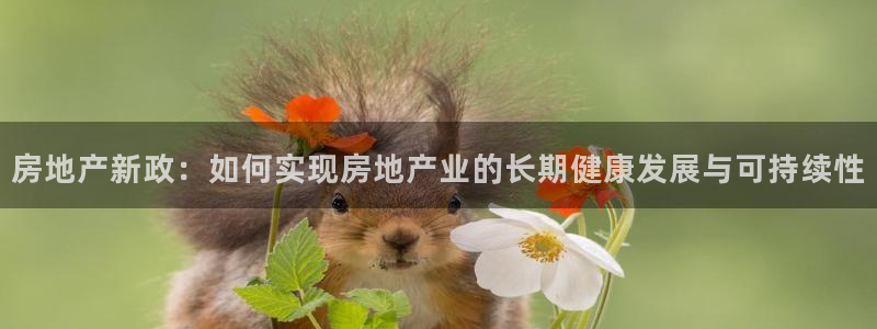新宝5账号注册：房地产新政：如何实现房地产业的长期健康发展与