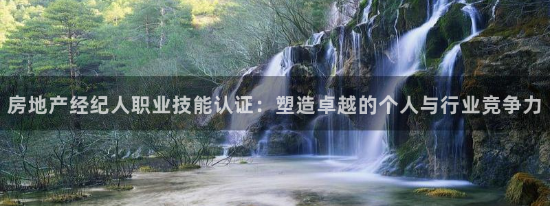 新宝5娱乐：房地产经纪人职业技能认证：塑造卓越的个人与行业竞