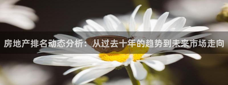 新宝5注册流程：房地产排名动态分析：从过去十年的趋势到未来市